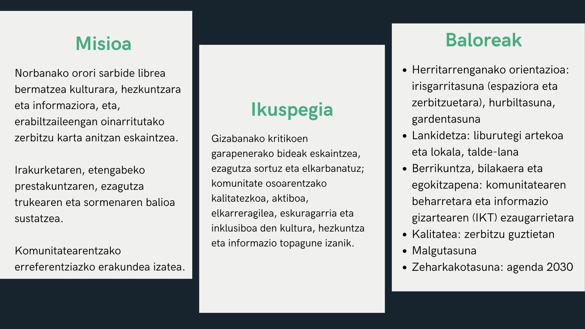 Misioa, ikuspegia, baloreak
